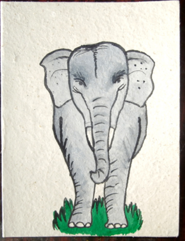 Elephant Dung Paper